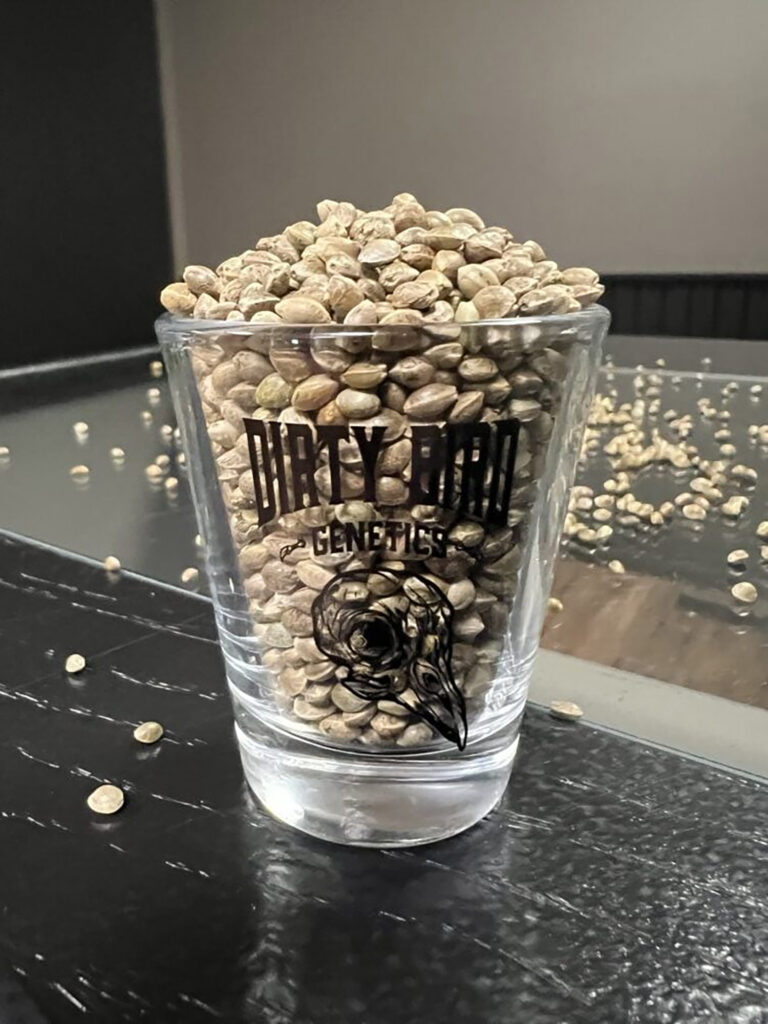 Dirty Bird Shot Glass